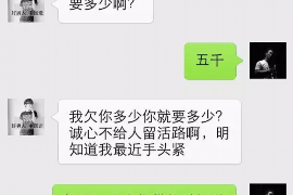 确山确山的要账公司在催收过程中的策略和技巧有哪些？